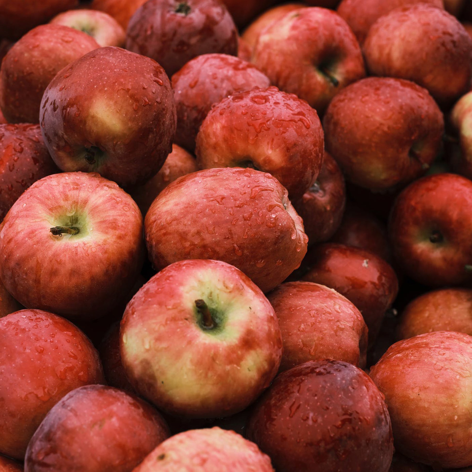 apple Cinnamon jam recipe mouneh lebanese food pie